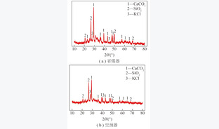 混合生物质燃料循环流化床锅炉受热面结焦机理研究