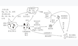 垃圾焚烧处置中二噁英和重金属污染控制技术进展