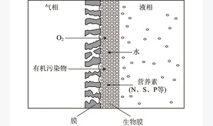 生物降解疏水性VOCs现状分析