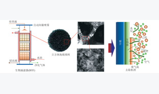 VOCs末端治理技术进展及在燃煤电站烟气净化的应用思考