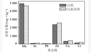 烟气循环式燃煤耦合污泥焚烧系统中污泥燃烧及重金属迁移特性