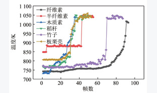 纤维素、半纤维素和木质素对生物质燃烧行为影响研究