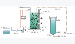 煤制乙二醇废水处理关键技术研究进展