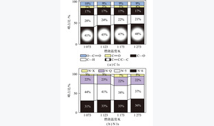 燃烧温度对神华烟煤加压燃烧过程中C／N转化特性的影响