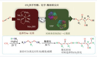 “酶+X”耦合催化CO2资源化转化