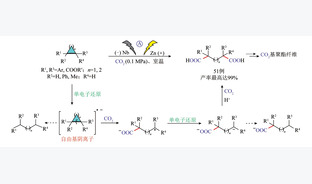 光､电催化CO2耦合有机化合物催化转化研究进展