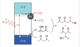 光､电催化CO2耦合有机化合物催化转化研究进展