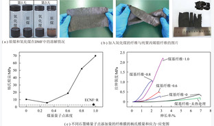 煤基功能炭材料的制备及应用