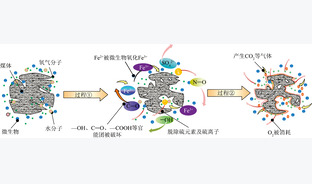 好氧微生物抑制煤自燃机理研究现状及展望