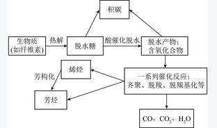 生物质催化热解制油及油品改性提质研究进展