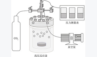 电石渣直接湿法碳酸化固定CO2的反应特性