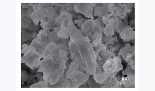 脱硫渣-CuFe2O4混合载氧体煤化学链燃烧性能