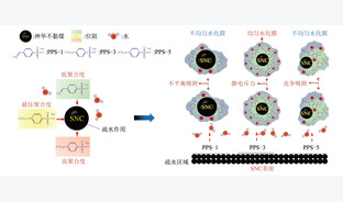 PSS分散剂亲油基团对不黏煤成浆特性及表面吸附行为影响