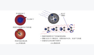 基于铁基载氧体的污泥/生物质化学链气化及其灰分-水分影响特性研究进展