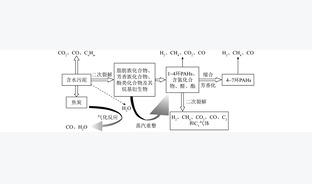 基于铁基载氧体的污泥/生物质化学链气化及其灰分-水分影响特性研究进展