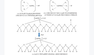 Y型分子筛中金属离子落位的调控及解析方法研究进展