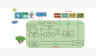 双碳时代下多源生物质热化学转化资源化利用研究进展