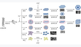 CO2间接矿化工业固废制备多晶型碳酸钙研究进展