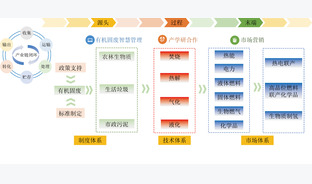 碳中和愿景下有机固废热转化清洁利用技术研究现状与展望