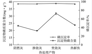 污泥4种热处理产物中磷的化学提取-沉淀回收性能