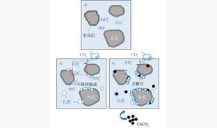 二氧化碳矿化波特兰水泥浆体性能与机制