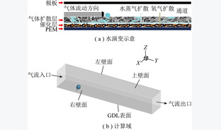 燃料电池气体扩散层表面液相涌出行为