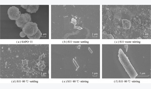 纳米多级孔SAPO-11分子筛制备及其催化2-甲基萘烷基化反应