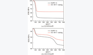 纳米多级孔SAPO-11分子筛制备及其催化2-甲基萘烷基化反应