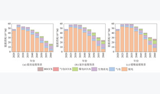 不同煤电退役路径下CCUS技术的综合效益评估