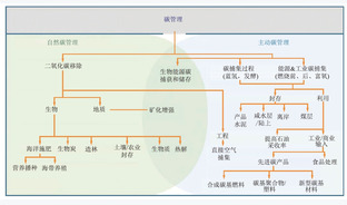 全球碳管理发展态势与技术前沿进展